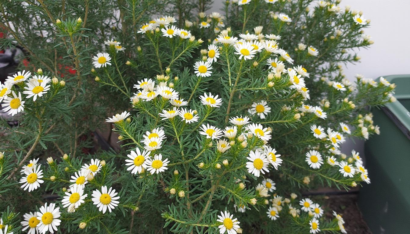 découvrez les inconvénients des tables en céramique et les limites à connaître avant de faire votre achat pour un choix éclairé.
