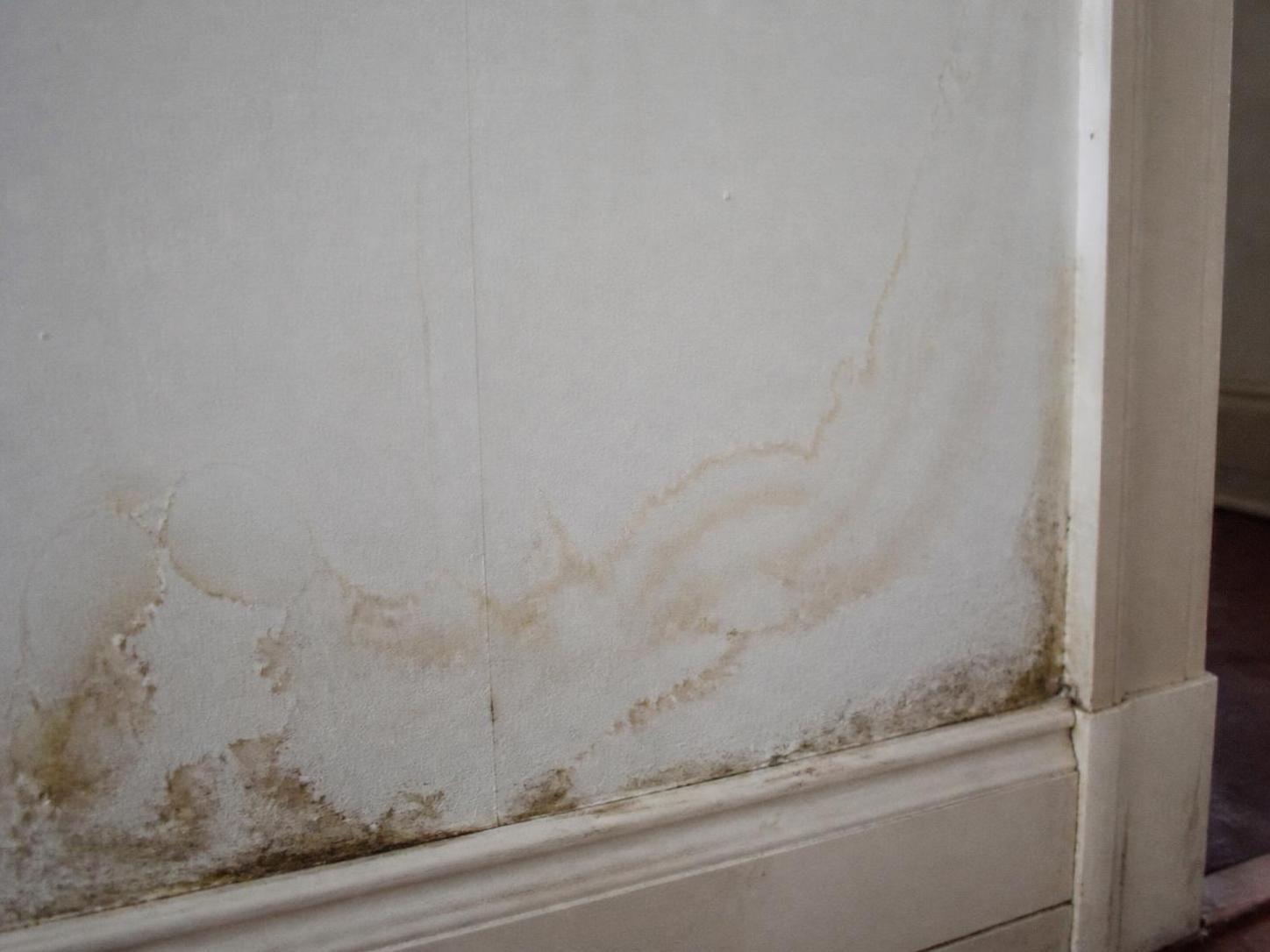 découvrez comment détecter une fuite d'eau invisible dans votre maison grâce aux signes subtils à surveiller pour éviter les dégâts importants.